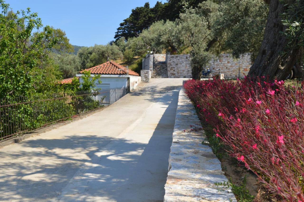 Remvi Apartments Skopelos Town Exterior photo